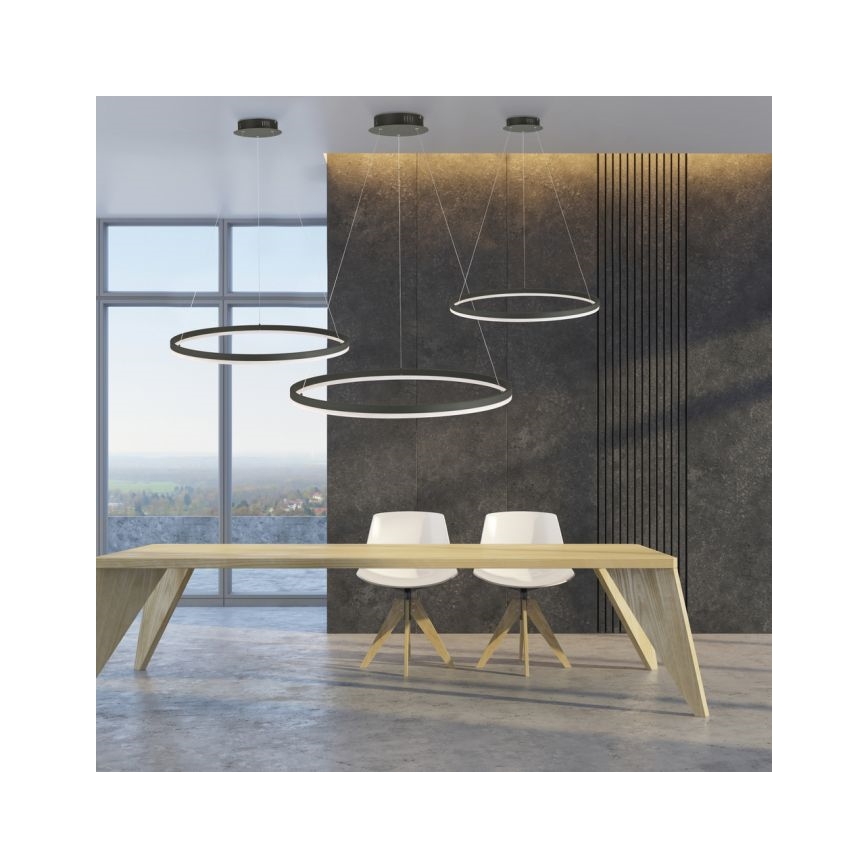 Paul Neuhaus 2383-13 - LED Reguliuojamas pakabinamas sietynas TITUS LED/50W/230V