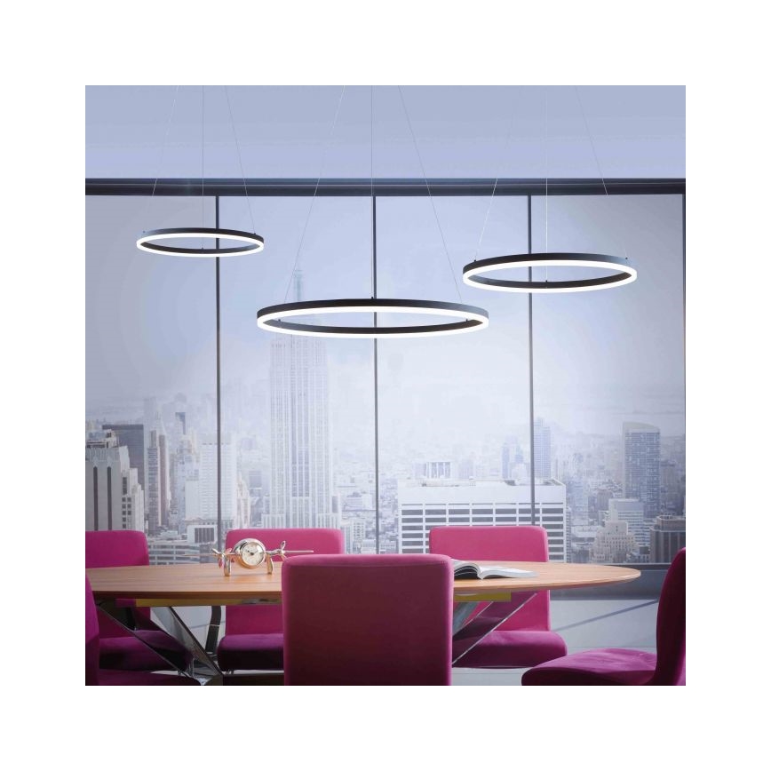 Paul Neuhaus 2383-13 - LED Reguliuojamas pakabinamas sietynas TITUS LED/50W/230V