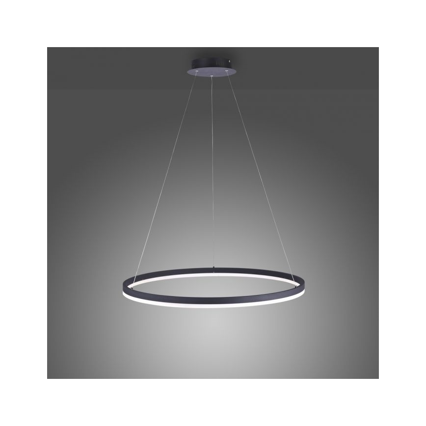 Paul Neuhaus 2383-13 - LED Reguliuojamas pakabinamas sietynas TITUS LED/50W/230V