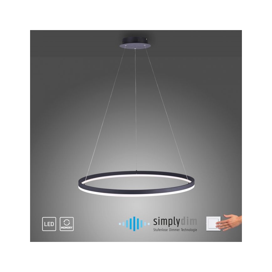 Paul Neuhaus 2383-13 - LED Reguliuojamas pakabinamas sietynas TITUS LED/50W/230V