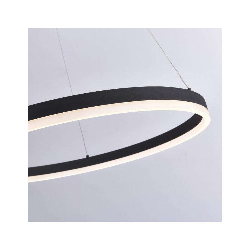 Paul Neuhaus 2383-13 - LED Reguliuojamas pakabinamas sietynas TITUS LED/50W/230V