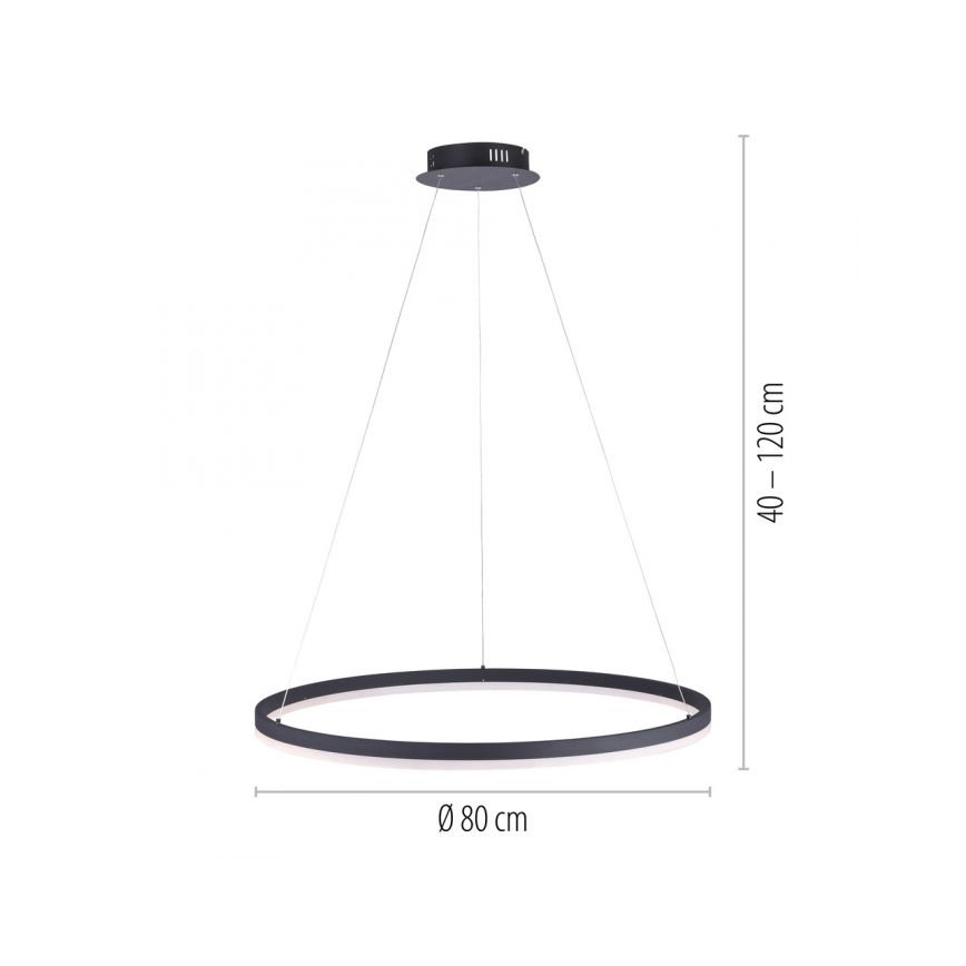Paul Neuhaus 2383-13 - LED Reguliuojamas pakabinamas sietynas TITUS LED/50W/230V