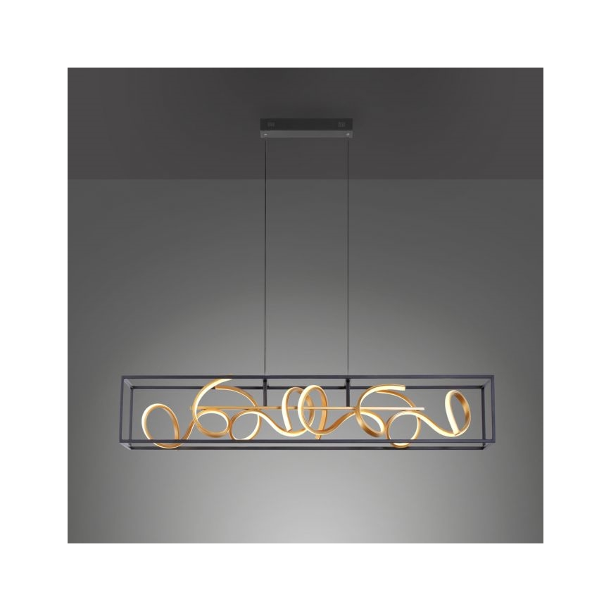 Paul Neuhaus 2416-18 - LED pritemdantis šviestuvas ant virvelės SELINA 4xLED / 10,2W / 230V