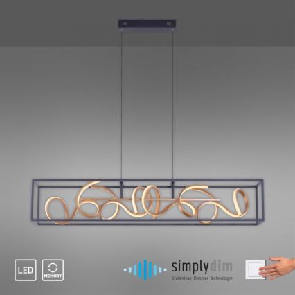 Paul Neuhaus 2416-18 - LED pritemdantis šviestuvas ant virvelės SELINA 4xLED / 10,2W / 230V