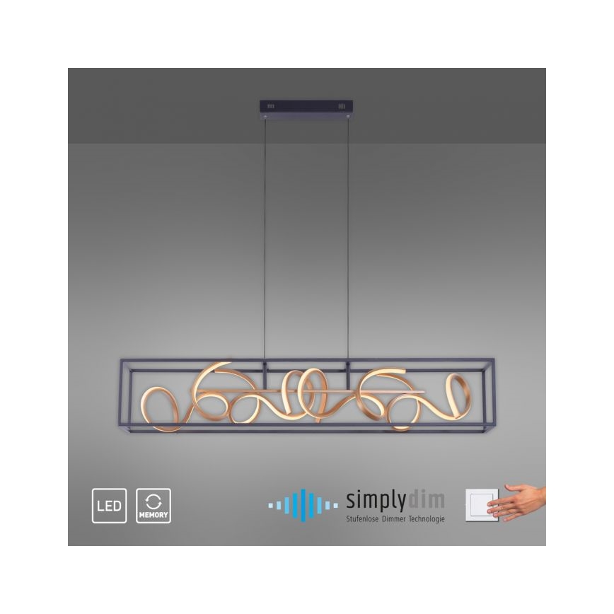Paul Neuhaus 2416-18 - LED pritemdantis šviestuvas ant virvelės SELINA 4xLED / 10,2W / 230V