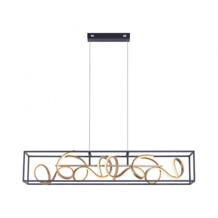 Paul Neuhaus 2416-18 - LED pritemdantis šviestuvas ant virvelės SELINA 4xLED / 10,2W / 230V