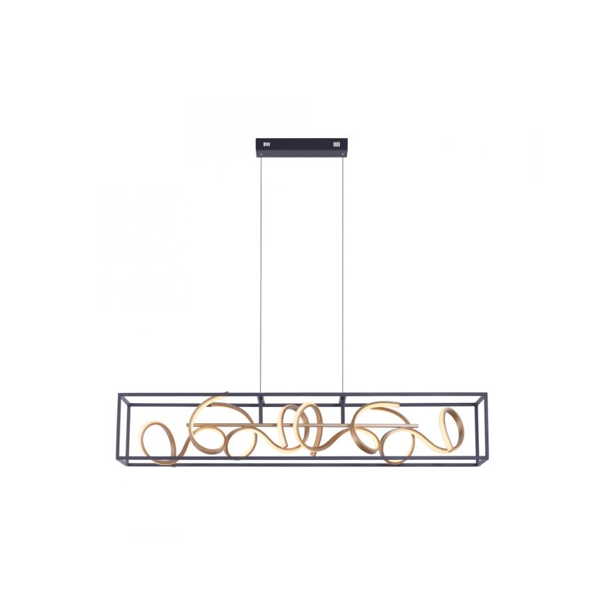 Paul Neuhaus 2416-18 - LED pritemdantis šviestuvas ant virvelės SELINA 4xLED / 10,2W / 230V
