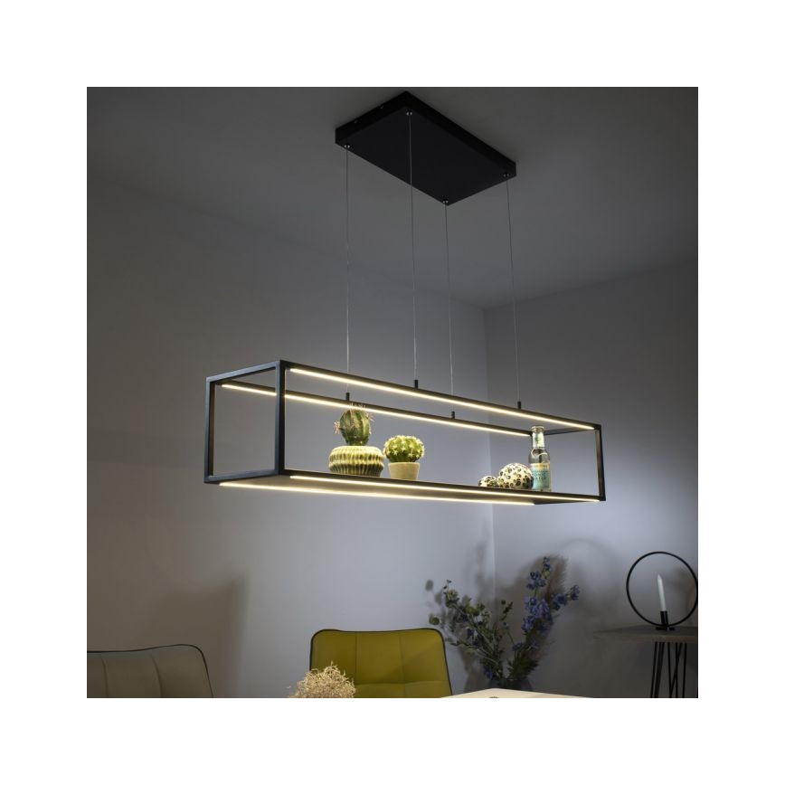 Paul Neuhaus 2441-18 - LED Reguliuojamas pakabinamas sietynas CONTURA 4xLED/8W/230V