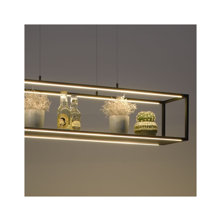 Paul Neuhaus 2441-18 - LED Reguliuojamas pakabinamas sietynas CONTURA 4xLED/8W/230V