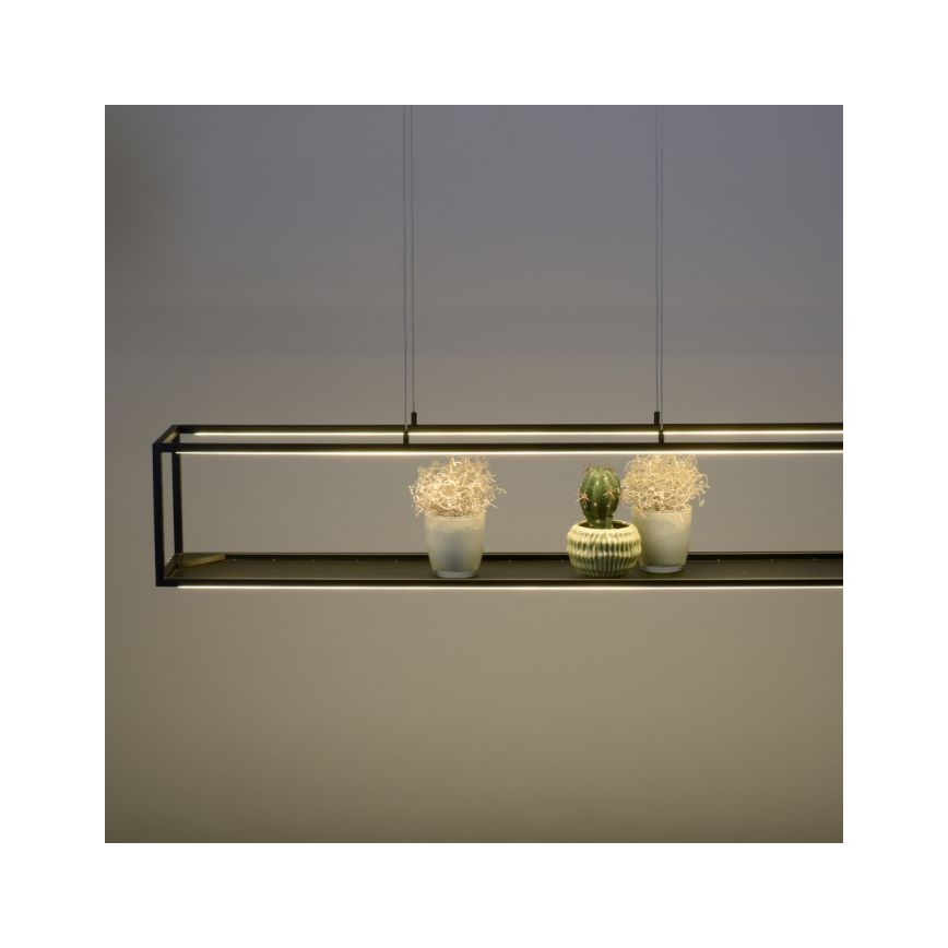 Paul Neuhaus 2441-18 - LED Reguliuojamas pakabinamas sietynas CONTURA 4xLED/8W/230V