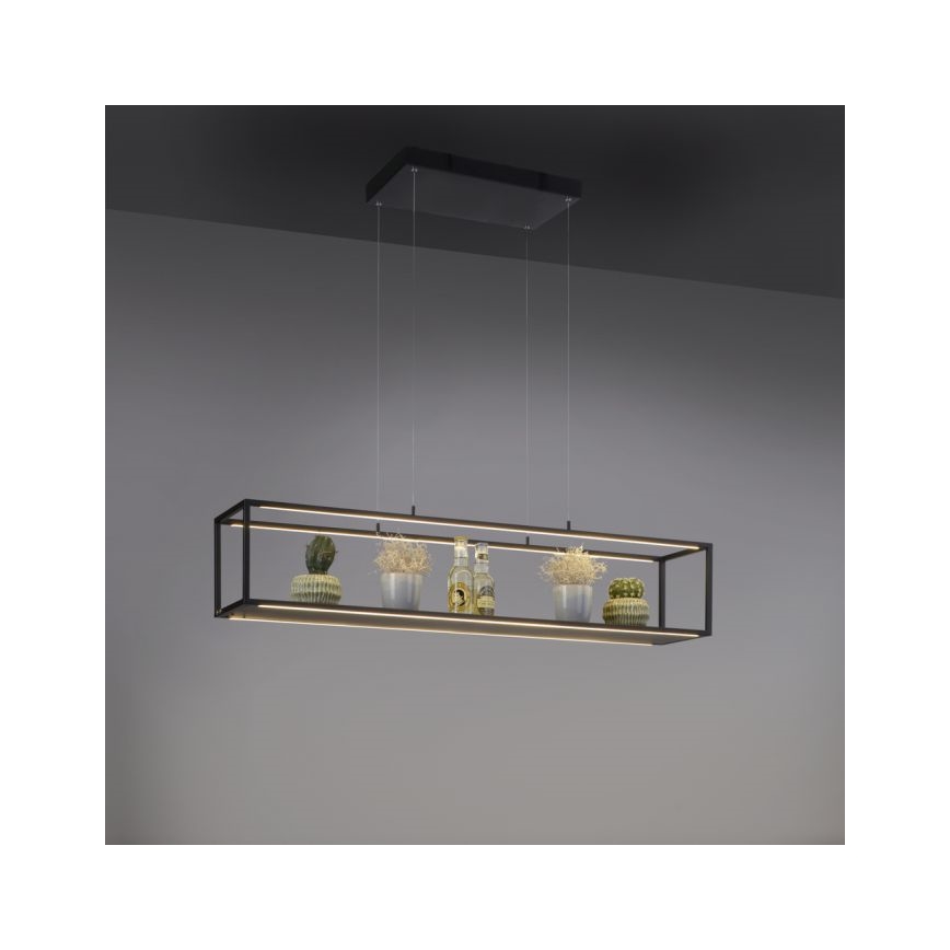 Paul Neuhaus 2441-18 - LED Reguliuojamas pakabinamas sietynas CONTURA 4xLED/8W/230V