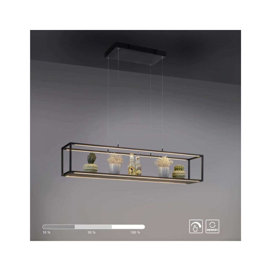 Paul Neuhaus 2441-18 - LED Reguliuojamas pakabinamas sietynas CONTURA 4xLED/8W/230V