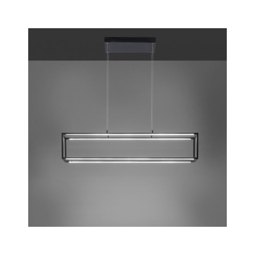 Paul Neuhaus 2441-18 - LED Reguliuojamas pakabinamas sietynas CONTURA 4xLED/8W/230V