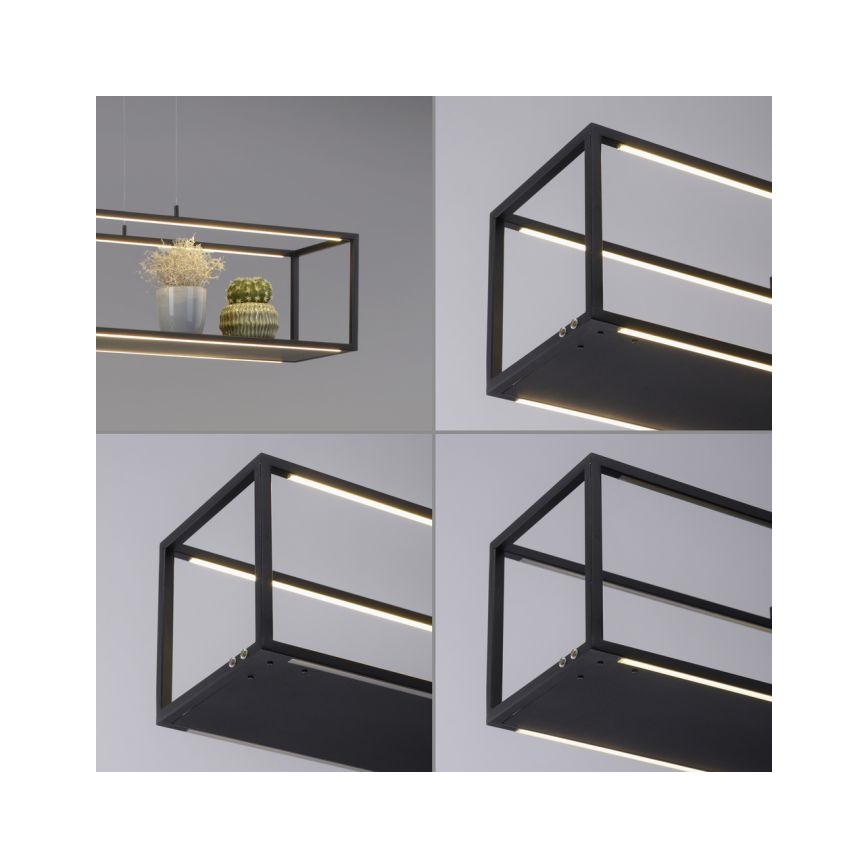 Paul Neuhaus 2441-18 - LED Reguliuojamas pakabinamas sietynas CONTURA 4xLED/8W/230V
