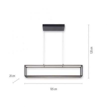 Paul Neuhaus 2441-18 - LED Reguliuojamas pakabinamas sietynas CONTURA 4xLED/8W/230V