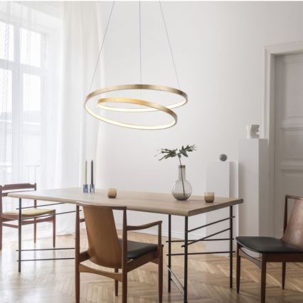 Paul Neuhaus 2472-12 - LED Reguliuojamas pakabinamas sietynas ROMAN LED/30W/230V aukso spalvos