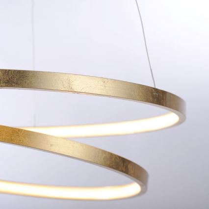 Paul Neuhaus 2472-12 - LED Reguliuojamas pakabinamas sietynas ROMAN LED/30W/230V aukso spalvos