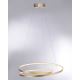Paul Neuhaus 2474-12 - LED Reguliuojamas pakabinamas sietynas ROMAN LED/40W/230V aukso spalvos