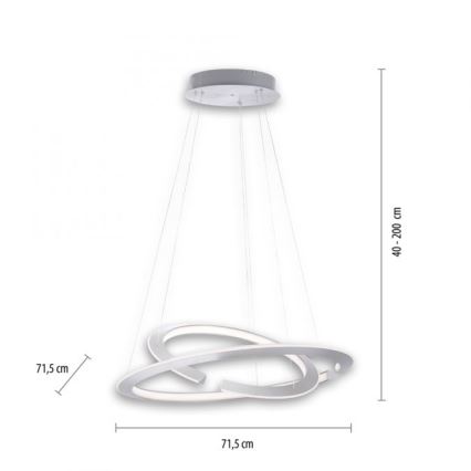Paul Neuhaus 2491-55 - LED reguliuojamas pakabinamas šviestuvas ant laido ALESSA 2xLED/26W/230V + nuotolinis valdymas