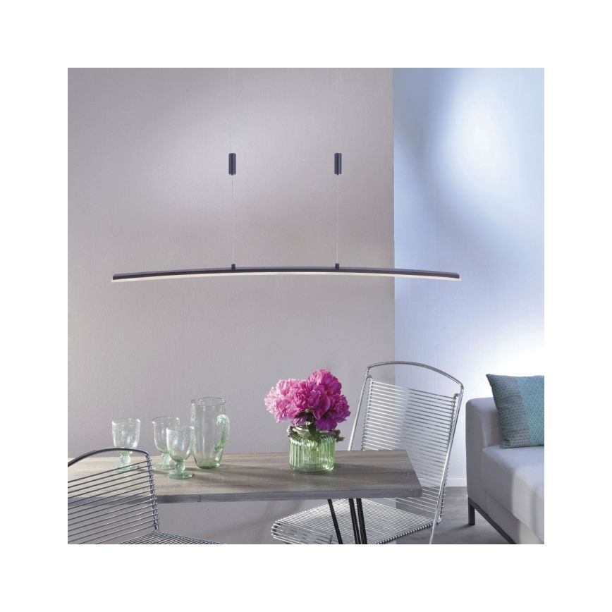 Paul Neuhaus 2530-13 - LED Reguliuojamas pakabinamas sietynas JANINA LED/27W/230V