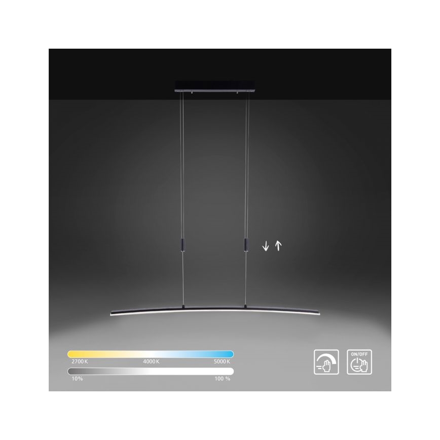 Paul Neuhaus 2530-13 - LED Reguliuojamas pakabinamas sietynas JANINA LED/27W/230V