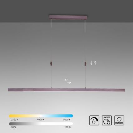 Paul Neuhaus 2568-24 - LED Reguliuojamas pakabinamas sietynas ADRIANA LED/14W/230V 2700-5000K