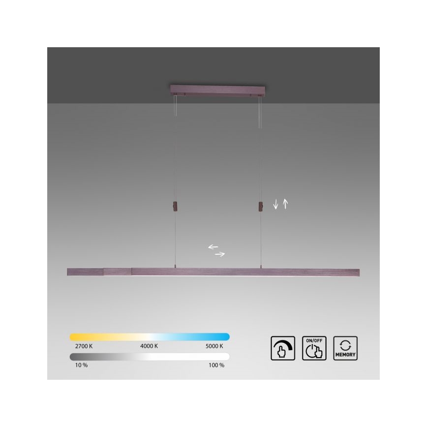 Paul Neuhaus 2568-24 - LED Reguliuojamas pakabinamas sietynas ADRIANA LED/14W/230V 2700-5000K