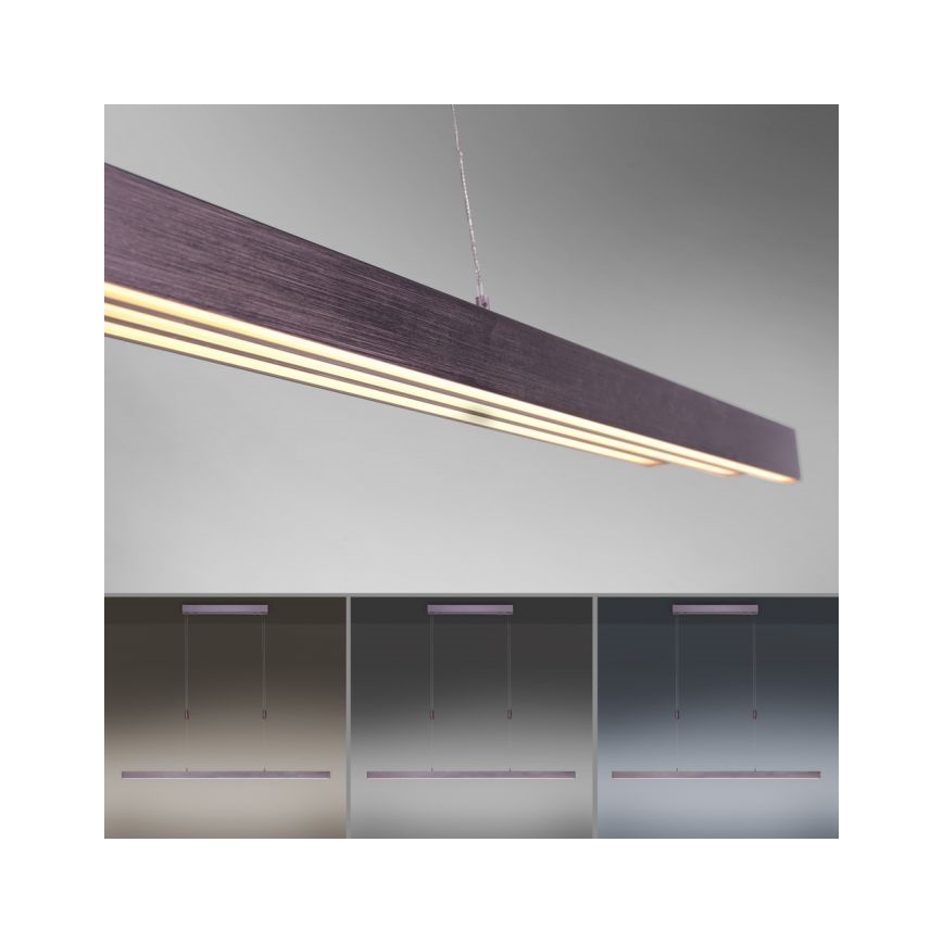 Paul Neuhaus 2568-24 - LED Reguliuojamas pakabinamas sietynas ADRIANA LED/14W/230V 2700-5000K