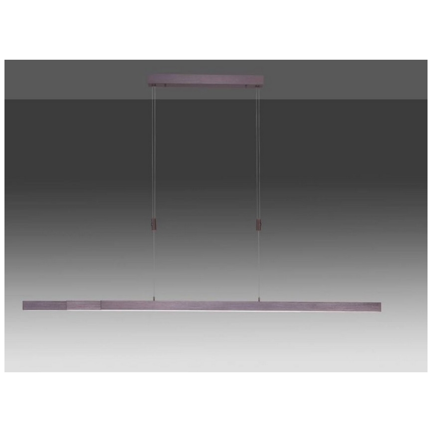Paul Neuhaus 2568-24 - LED Reguliuojamas pakabinamas sietynas ADRIANA LED/14W/230V 2700-5000K