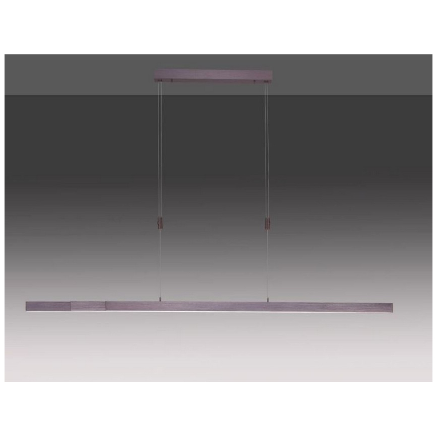 Paul Neuhaus 2568-24 - LED Reguliuojamas pakabinamas sietynas ADRIANA LED/14W/230V 2700-5000K