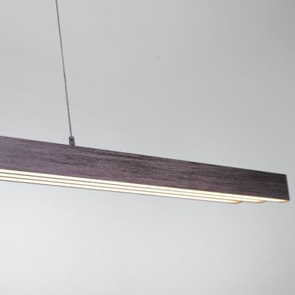 Paul Neuhaus 2568-24 - LED Reguliuojamas pakabinamas sietynas ADRIANA LED/14W/230V 2700-5000K