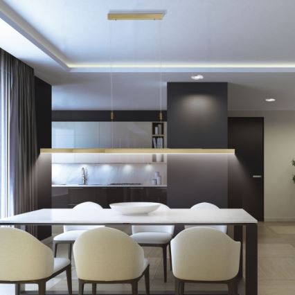 Paul Neuhaus 2568-60 - LED Reguliuojamas pakabinamas sietynas ADRIANA LED/14W/230V  2700-5000K žalvaris