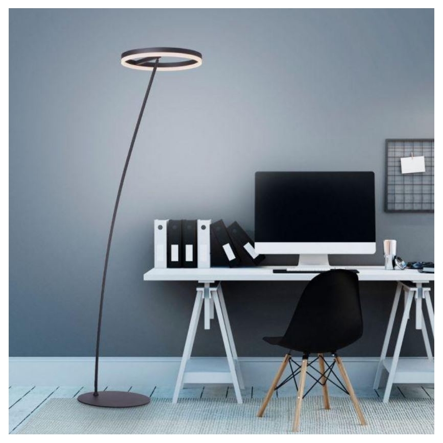 Paul Neuhaus 381-13 - LED Reguliuojamas toršeras TITUS LED/19,5W/230V