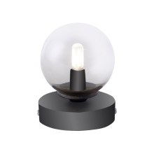 Paul Neuhaus 4039-18 - LED Stalinė lempa WIDOW 1xG9/3W/230V