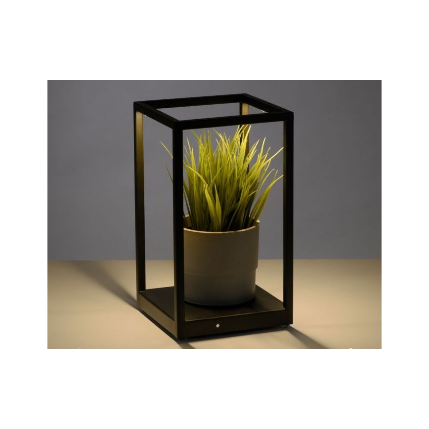Paul Neuhaus 4401-18 - LED Reguliuojama stalinė lempa CONTURA 2xLED/2,2W/230V