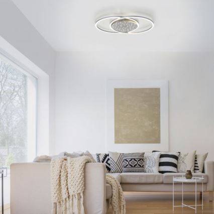 Paul Neuhaus 6025-55 - LED Reguliuojamas lubinis šviestuvas YUKI LED/48W/230V + VP