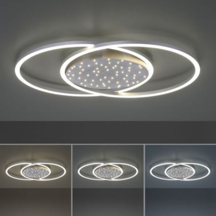 Paul Neuhaus 6025-55 - LED Reguliuojamas lubinis šviestuvas YUKI LED/48W/230V + VP
