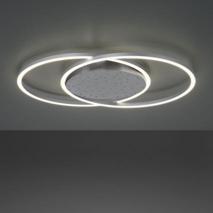 Paul Neuhaus 6025-55 - LED Reguliuojamas lubinis šviestuvas YUKI LED/48W/230V + VP