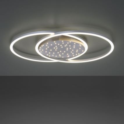 Paul Neuhaus 6025-55 - LED Reguliuojamas lubinis šviestuvas YUKI LED/48W/230V + VP