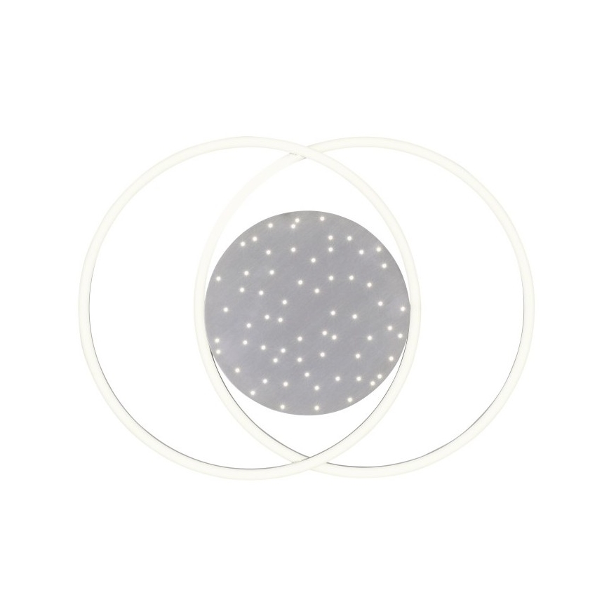 Paul Neuhaus 6025-55 - LED Reguliuojamas lubinis šviestuvas YUKI LED/48W/230V + VP