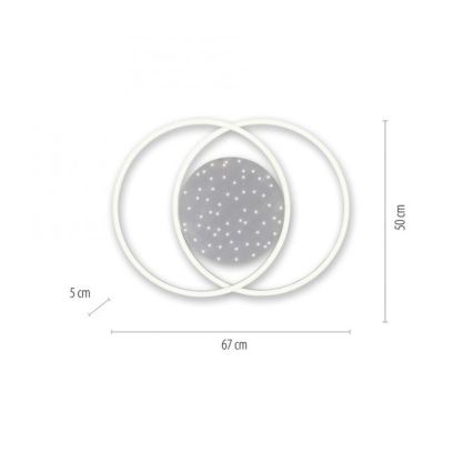 Paul Neuhaus 6025-55 - LED Reguliuojamas lubinis šviestuvas YUKI LED/48W/230V + VP