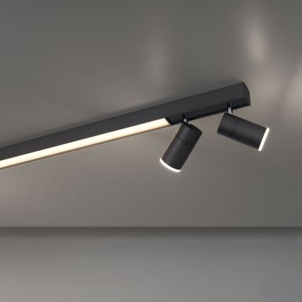 Paul Neuhaus 6121-13 - LED pritemdomas akcentinis apšvietimas PURE 4xLED/4W/230V + LED/9W 2700-5000K + nuotolinio valdymo pultas