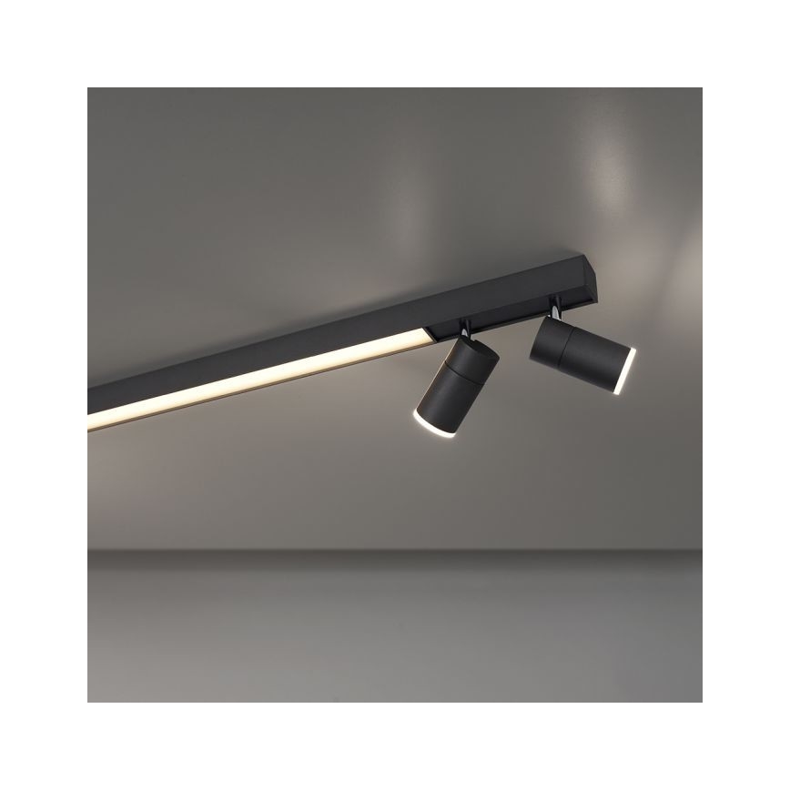 Paul Neuhaus 6121-13 - LED pritemdomas akcentinis apšvietimas PURE 4xLED/4W/230V + LED/9W 2700-5000K + nuotolinio valdymo pultas