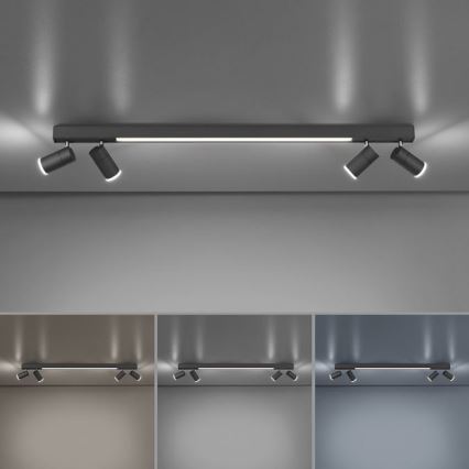 Paul Neuhaus 6121-13 - LED pritemdomas akcentinis apšvietimas PURE 4xLED/4W/230V + LED/9W 2700-5000K + nuotolinio valdymo pultas