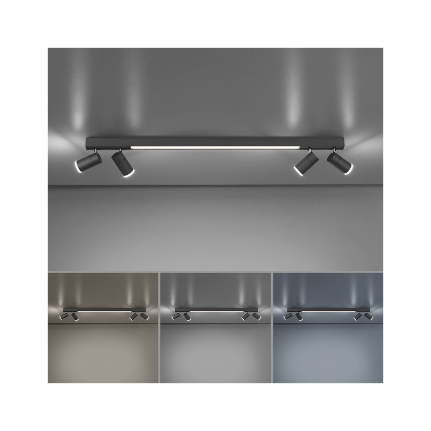 Paul Neuhaus 6121-13 - LED pritemdomas akcentinis apšvietimas PURE 4xLED/4W/230V + LED/9W 2700-5000K + nuotolinio valdymo pultas