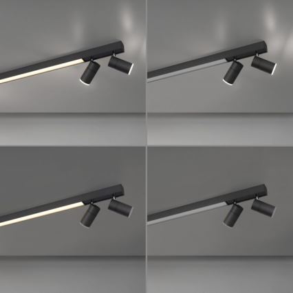 Paul Neuhaus 6121-13 - LED pritemdomas akcentinis apšvietimas PURE 4xLED/4W/230V + LED/9W 2700-5000K + nuotolinio valdymo pultas