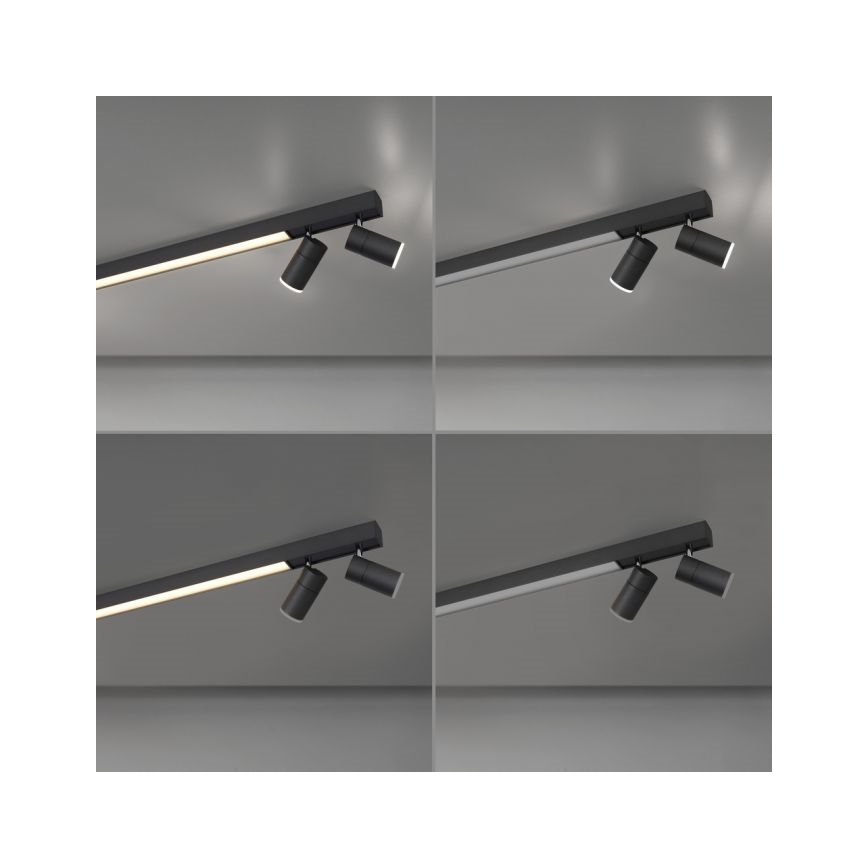 Paul Neuhaus 6121-13 - LED pritemdomas akcentinis apšvietimas PURE 4xLED/4W/230V + LED/9W 2700-5000K + nuotolinio valdymo pultas