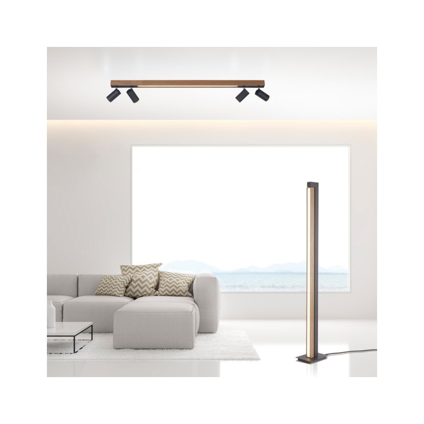 Paul Neuhaus 6121-79 - LED pritemdomas akcentinis apšvietimas PURE 4xLED/4W/230V + LED/9W 2700-5000K + nuotolinio valdymo pultas