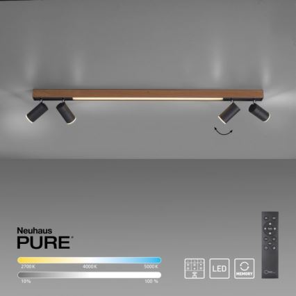 Paul Neuhaus 6121-79 - LED pritemdomas akcentinis apšvietimas PURE 4xLED/4W/230V + LED/9W 2700-5000K + nuotolinio valdymo pultas