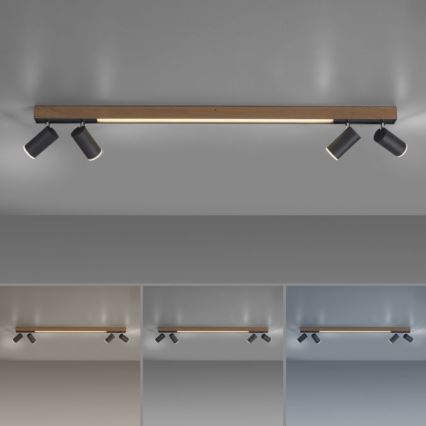 Paul Neuhaus 6121-79 - LED pritemdomas akcentinis apšvietimas PURE 4xLED/4W/230V + LED/9W 2700-5000K + nuotolinio valdymo pultas